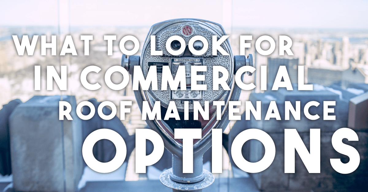 What to Look For In Commercial Roof Maintenance Options