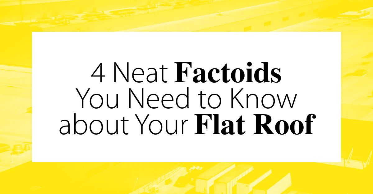 4 Neat Factoids You Need to Know about Your Flat Roof